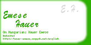 emese hauer business card